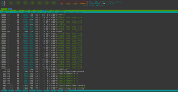 Htop showing 100% CPU usage